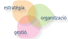 Integració de l'estratègia, organització i gestió de l'empresa